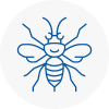 Melton Mowbray Hornet Nest Removals