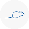 Mice Exterminators In Melton Mowbray