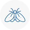 Moth Control Specialists In Melton Mowbray
