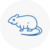 Rat Control Melton Mowbray