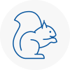 Melton Mowbray Rodent Removals